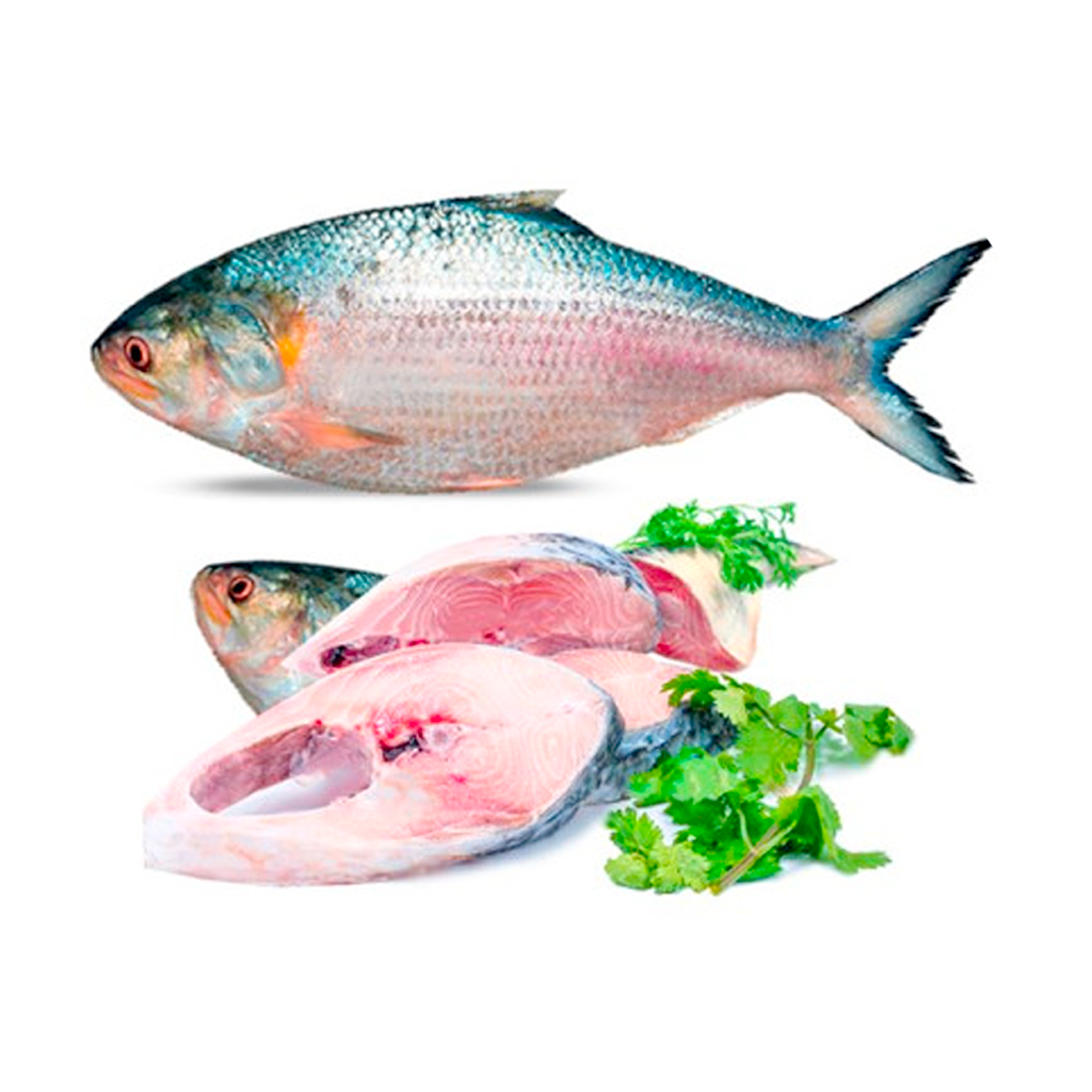 Bengali Fish