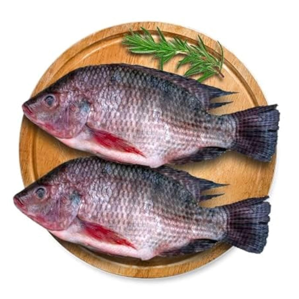 Fresh Tilapia near me
