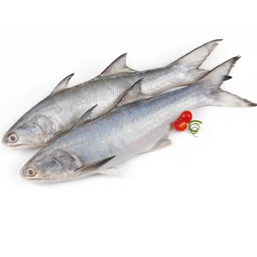 Indian Salmon near me