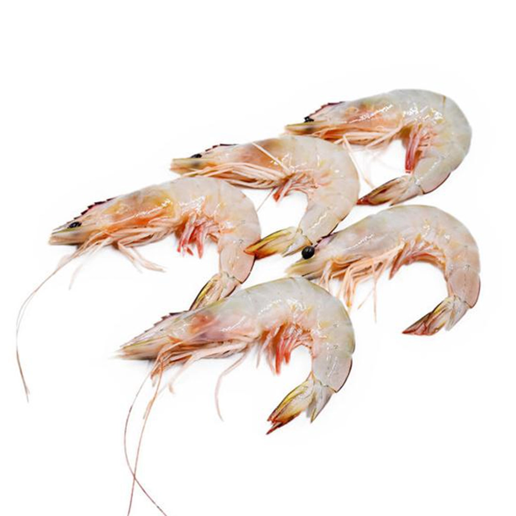 Sea prawns near me